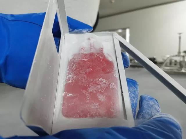 202012231334503450.jpg